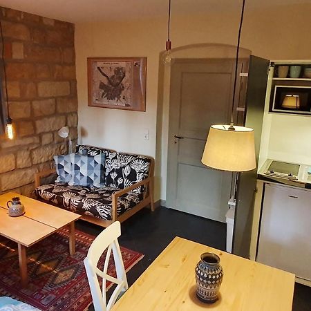Villa Haniel Apartment Leo Dresden Dış mekan fotoğraf