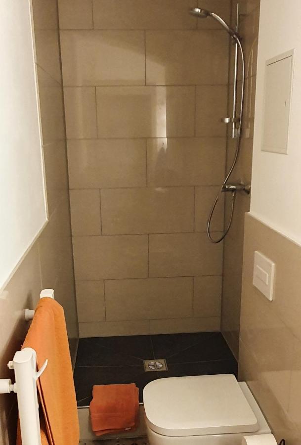 Villa Haniel Apartment Leo Dresden Dış mekan fotoğraf